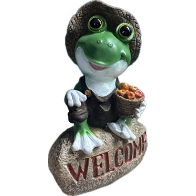 Лягушка мальчик на камне